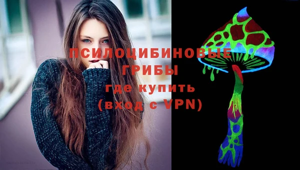 ПСИЛОЦИБИНОВЫЕ ГРИБЫ Абинск